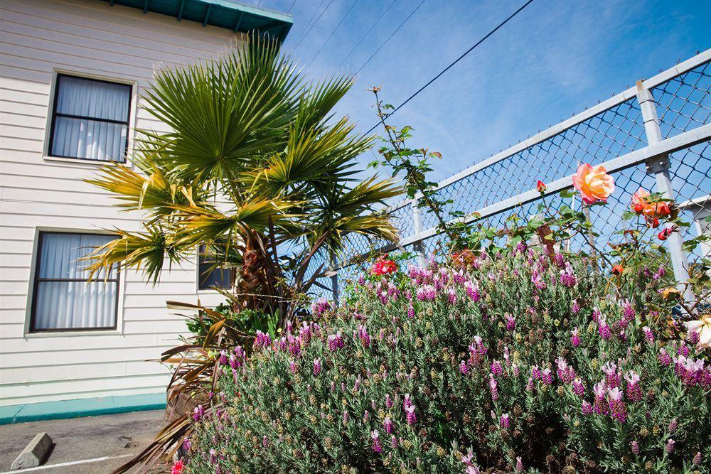Mylo Hotel Daly City Bagian luar foto